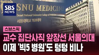 교수 집단 사직 앞장선 서울의대…이제 '빅5' 텅텅 비…
