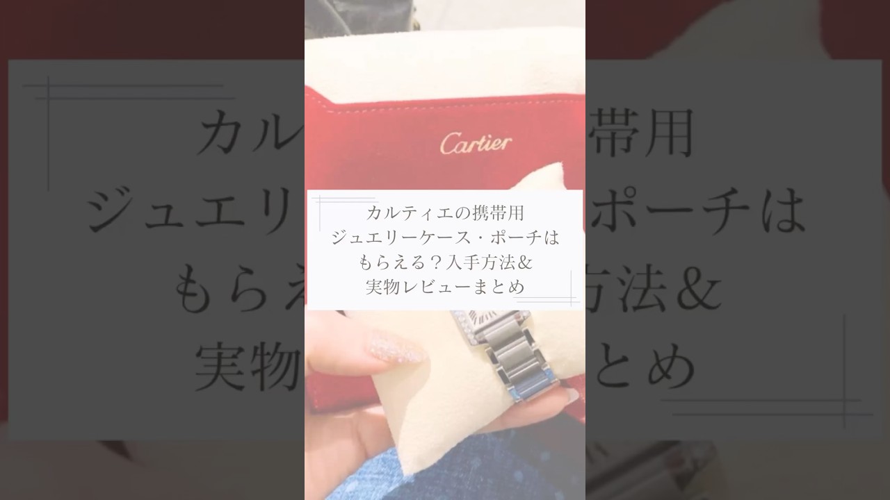 Can You Get a Cartier Travel Jewelry Case or Pouch? How to Get One