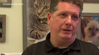 Beaumont Animal Care officer gets attacked while investigating reports of dog fighting