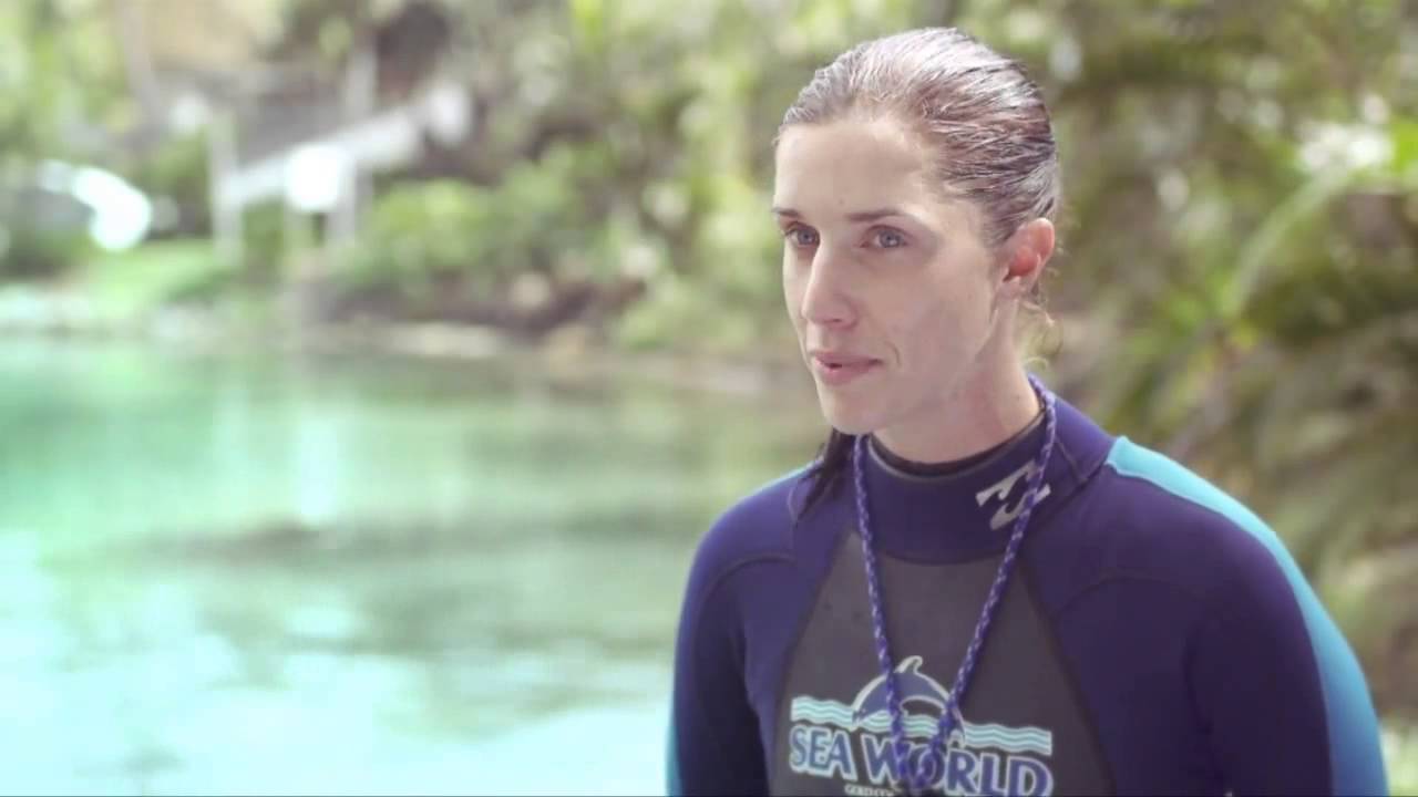 Great careers Exciting opportunities in Marine Biology YouTube