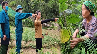 Hung's mother always looked for Huong - Huong had to ask for help from the authorities.