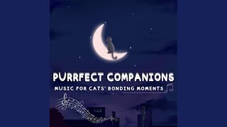 Harmony for Contented Cats