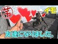 【CoD:MW】お芋さんと友達になってしまった話【まさかの和解】