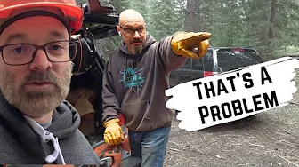 Tree Removal at the Tiny Cabin Goes Hilariously Off the Rails