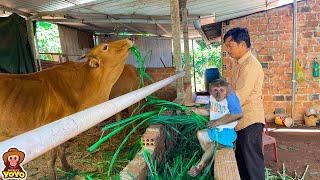 Grandpa takes YoYo Jr to take care of cows then go to buy rambutans