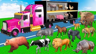 Learn Wild Animals Go To Home On Transporter Truck For Kids - Animals Names & Sounds For Children