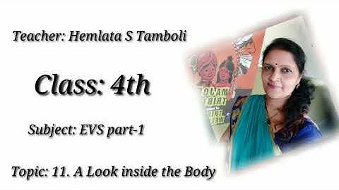 Std- IV EVS part-1, Ls. no. 11. A Look inside the Body, (Maharashtra Board- English Medium).
