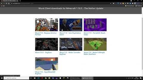 How to install Wurst Client for Minecraft 1.16.5!!