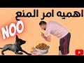اقوي تدريب هتشوفه تدريب الكلب علي امر المنع No اقوي تدريب هتشوفه تدريب الكلب علي امر المنع No