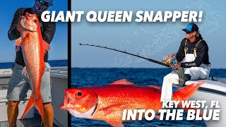 Deep Dropping 900ft for QUEEN SNAPPER?! | Into the Blue