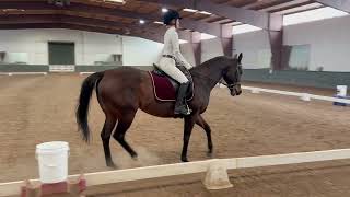Rebecca Lyon and Nahla, 2023 USEF Training Level Test 1