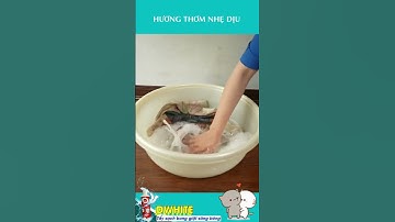 Tẩy trắng mọi vết bẩn, ố vàng, nấm mốc chỉ trong một nốt nhạc