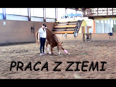 Gratka Praca Gratka Praca