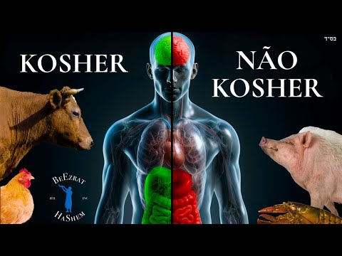 Como a Comida Não Kosher Afeta o Corpo e a Alma | BH FILMS
