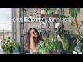 You Won't Believe How Much Money I've Spent on Plants!
