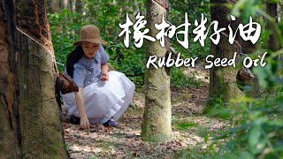 Precious and Delicate Oil with Complicated Production Process - Rubber Seed Oil
