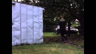 Celebrity Vine #151 | Brandon Bowen - When your parents lets you go for a walk Profile