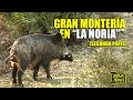 GRAN MONTERÍA EN LA NORIA (Parte 2)