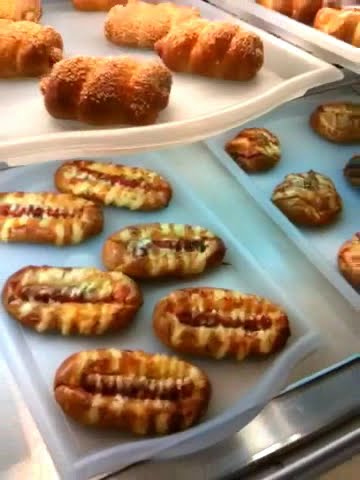 Cockroaches - Bakery Moment @ IPC - YouTube
