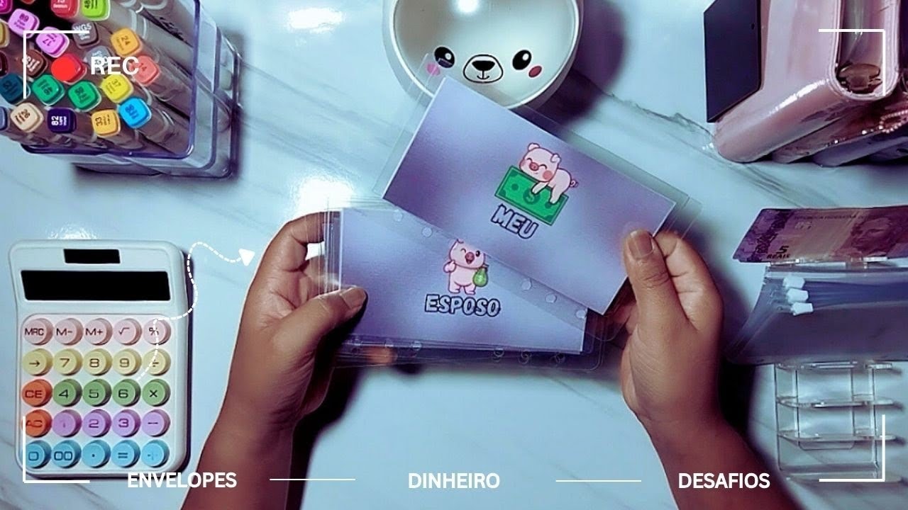 FICHÁRIO FINANCEIRO NOVO 🩶