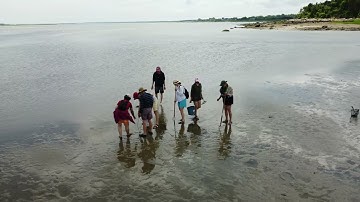 Clamming on Cape Cod