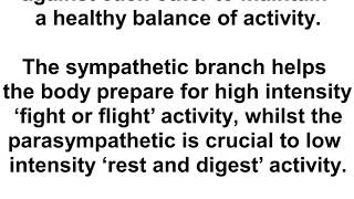 Ear-Tickling Therapy Can Slow Your Ageing Process
