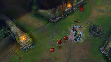 Warwick Q flash follow 2