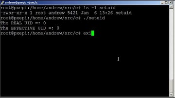 Linux Permissions and using C programming to understand the SUID bit on the Raspberry Pi