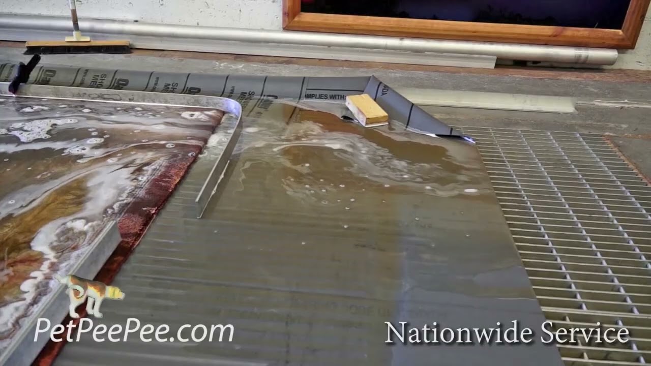 Почему ПетПиПи