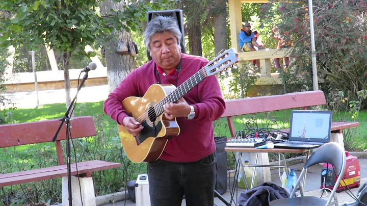 LOS HERMANOS VARGAS EN CAETE /CHILE