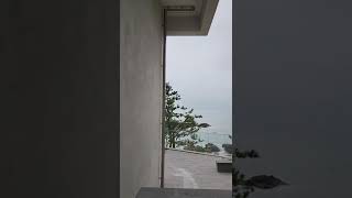 커피향 영상