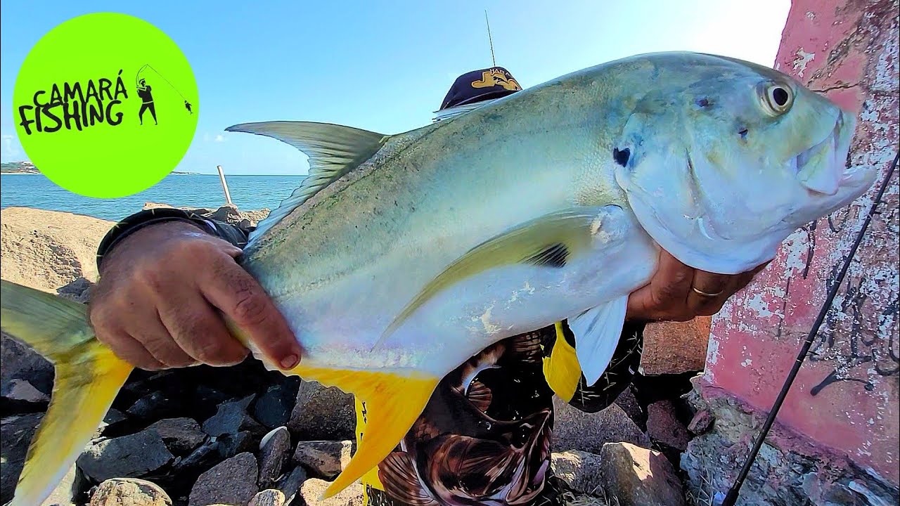 PESCARIA EM RECIFE - PE 🇧🇷 BOCA DA BARRA - XAREU NA LINHA