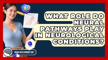 What Role Do Neural Pathways Play In Neurological Conditions? - Brain Development Hub