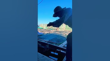 Câu Cá Biển - Câu Cá Giò Đầu Mùa | Bè Nổi Vũng Rô Phú Yên