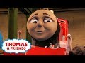 Have You Ever Looked After Animals Life Lesson Cartoons For Kids Thomas Friends UK