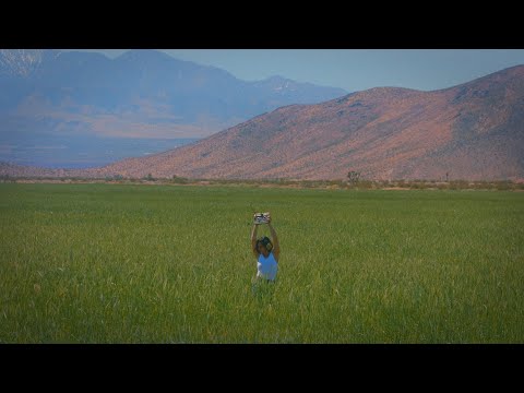 bad tuner - adrenaline (feat. Francesca Blanchard) (Official Video)