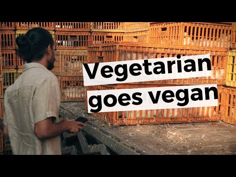 Vegetarian Visits SLAUGHTERHOUSE (Then Goes Vegan)