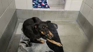 acs A659110