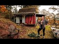 Off Grid Shed to House in the Woods | Solo Female Build