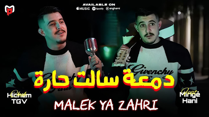Cheb Hichem Tgv دمعة سالت حارة - Malek Ya Zahri | Feat Hani Mirigé Son Live 2025 Cover Cheb Mirou