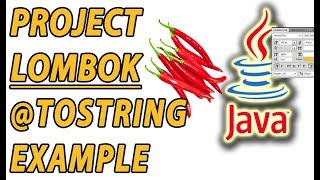 Famous Project Lombok ToString Example (Part 4) Profile
