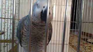 Fandok Is Tired And Sleepy