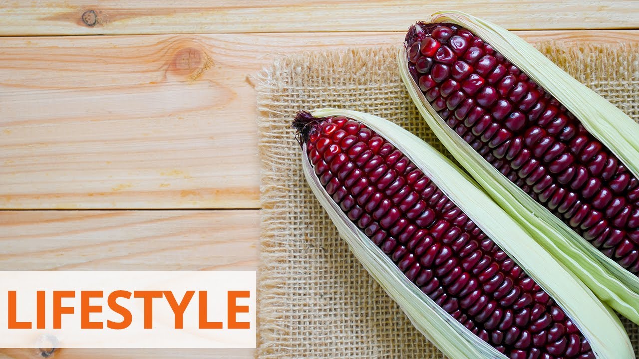 Лечит диабет и улучшает зрение. Полезные свойства фиолетовой кукурузы ...