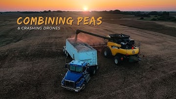 Combining Peas... and Crashing Drones