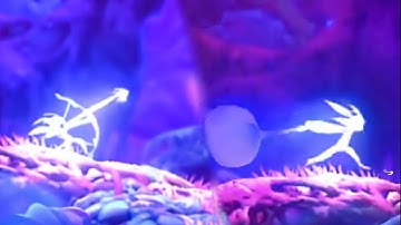 Ori and the Will of the Wisps Two Unused Attacks