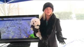 Tips For Pets During Winter Weather (January 22, 2016)