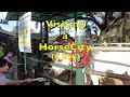 Horsecity exploring in 4k uhorsecity singapore