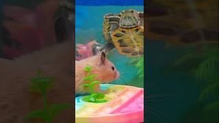 🐹 Hamster Escapes Amazing Turtle Maze