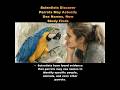 🦜 #Scientists discover #Parrots may actually use names — New #Study reveals shocking #Intelligence 🦜