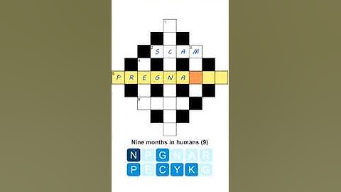 Puzzle Page Diamond Crossword Answers - Nov 26 | Puzzle Page Answers